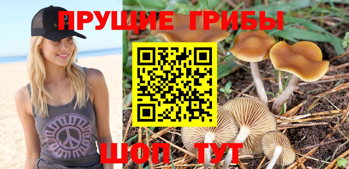 Псилоцибиновые грибы мицелий  Вход с VPN  Якутск 