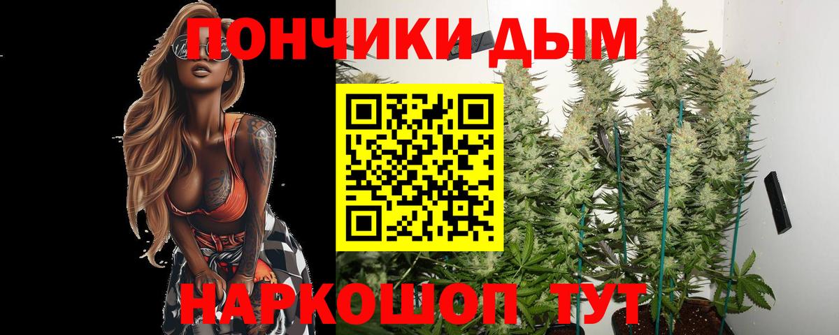 Каннабис план Якутск